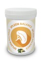 WS_Spleen_Balance.jpg