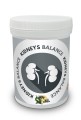WS_Kidneys_Balance.jpg