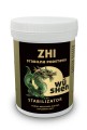 WS_ZHI_StabilnaPostawa.jpg